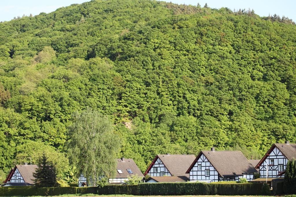 شقة Bos En Kasteel نيدغن المظهر الخارجي الصورة